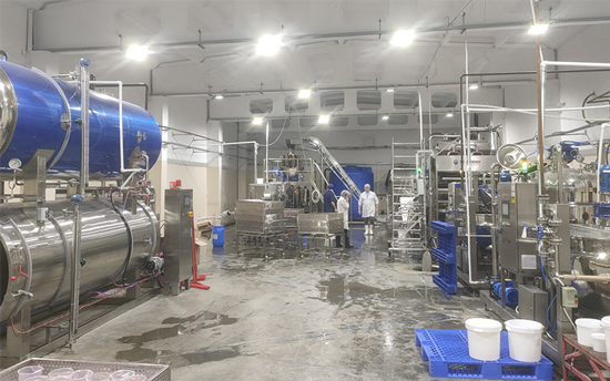 Линия по производству лопающихся шариков боба в России